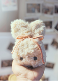 Preorder a Fairy Bunny (Mid Autumn Special)