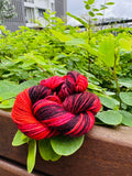 Hand Dyed Yarn by Nirani Luxe Yarns 2025 Mar Batch