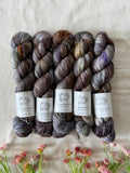 Hand Dyed Yarn by Myyarnstoryco 2025 Apr Batch