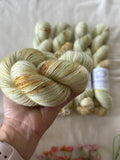 Hand Dyed Yarn by Myyarnstoryco 2025 Apr Batch