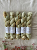 Hand Dyed Yarn by Myyarnstoryco 2025 Apr Batch