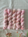 Hand Dyed Yarn by Myyarnstoryco 2025 Apr Batch