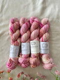 Hand Dyed Yarn by Myyarnstoryco 2025 Apr Batch