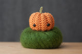 tiny rabbit hole amigurumi workshop crochet cactus succulent green plant vegan cute hobby lifestyle singapore handmade handicraft art craft yarn hook classes workshop ribbon basic foundation beginner learn pumpkin halloween