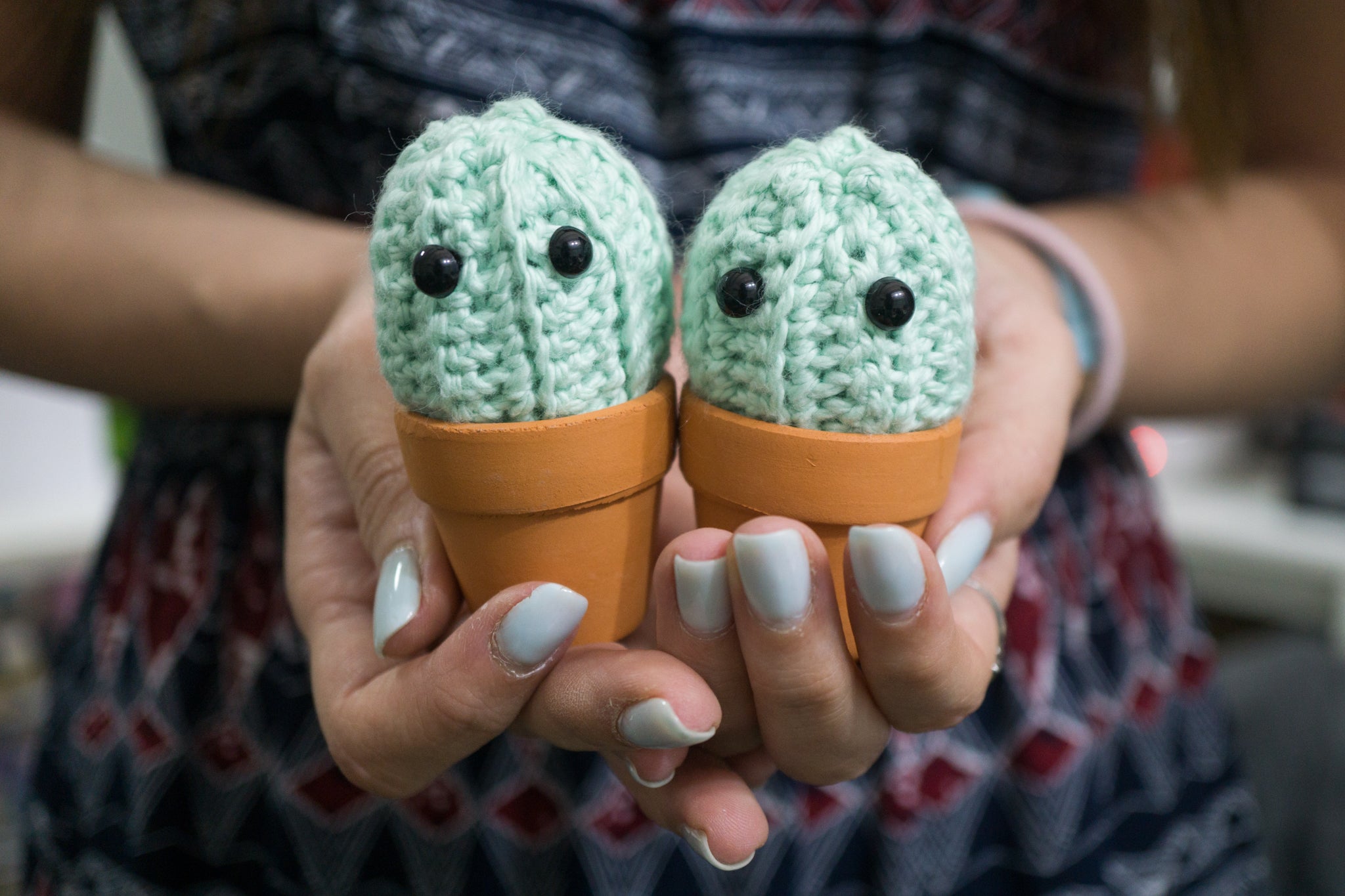 Thorny Cactus Amigurumi Pattern & Kit (Twin Pack)