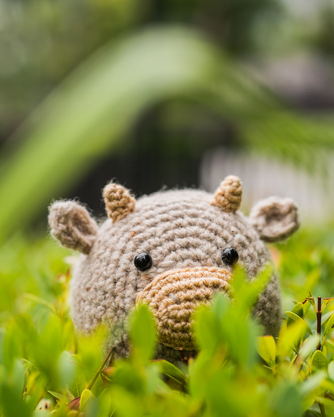 tiny rabbit hole oxford ox taurus gold cow 2021 chinese calendar new year amigurumi crochet pattern kit material amigurumi plush handmade singapore