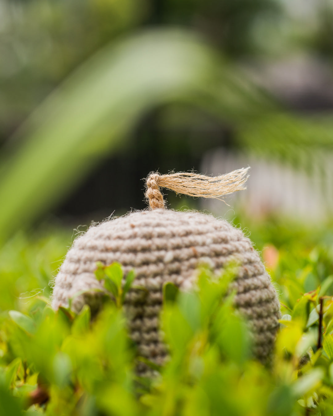 tiny rabbit hole oxford ox taurus gold cow 2021 chinese calendar new year amigurumi crochet pattern kit material amigurumi plush handmade singapore