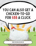 Nylon 14th Anniversary