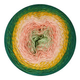 Scheepjes Cotton Whirl - 100% Organic Cotton