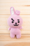 Cooky the Bunny Rabbit Amigurumi Pattern and Kit