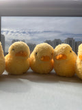 [Made to Order] Rubber Duckies for Benson's Bath