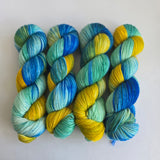 Hand Dyed Yarn by HungryForYarn 2026 August Batch