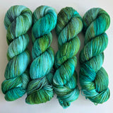 Hand Dyed Yarn by HungryForYarn 2026 August Batch