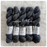 Hand Dyed Yarn by Myyarnstoryco 2025 Jan Batch