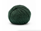 Pascuali Cashmere Delizia 50g