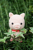Fortune Piggy Amigurumi Pattern & Kit