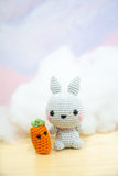 Fuwa-Fuwa Chan the Fluffy Bunny Amigurumi Pattern & Kit