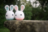 Easter Bunnies Lover Amigurumi Pattern & Kit